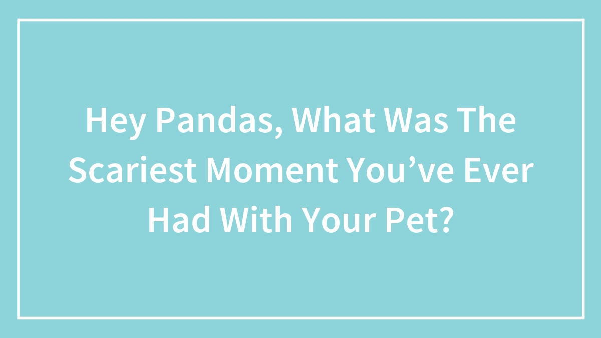 Hey Pandas, What Was The Scariest Moment You’ve Ever Had With Your Pet?