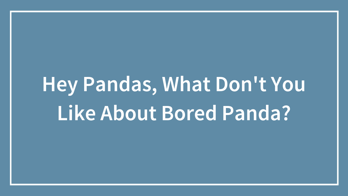 Hey Pandas, What Don’t You Like About Bored Panda?