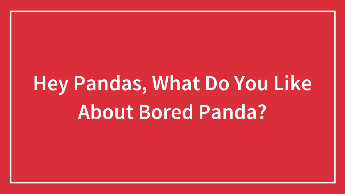 Hey Pandas, What Do You Like About Bored Panda?