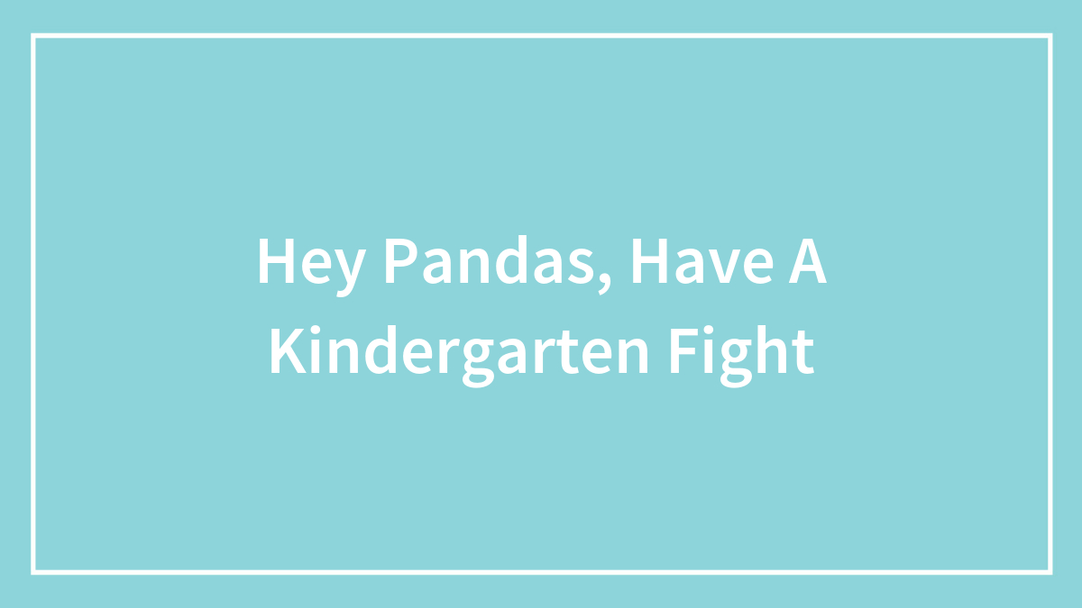 Hey Pandas, Have A Kindergarten Fight