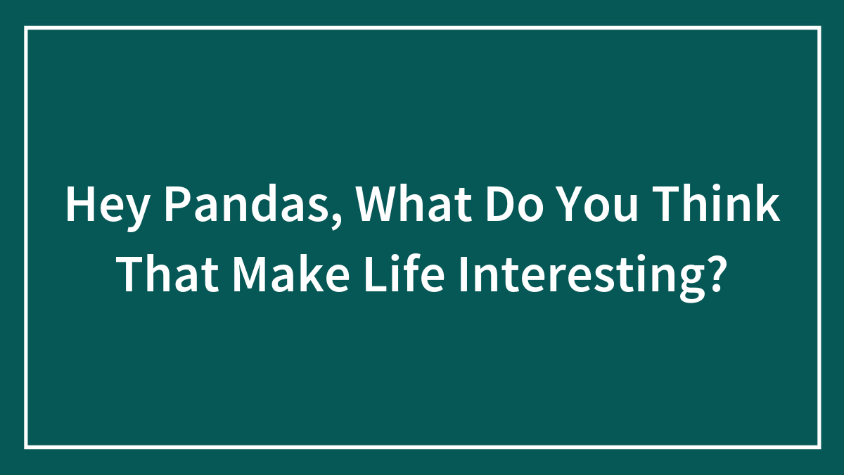 Hey Pandas, What Do You Think Makes Life Interesting? (Closed)