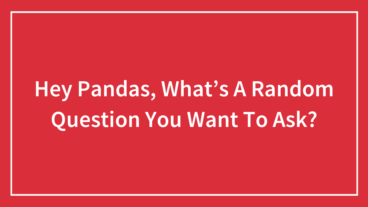 Hey Pandas, What’s A Random Question You Want To Ask?