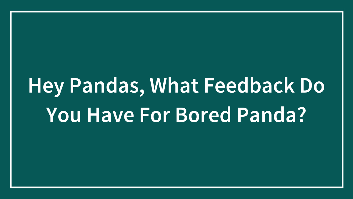 Hey Pandas, What Feedback Do You Have For Bored Panda? (Closed)