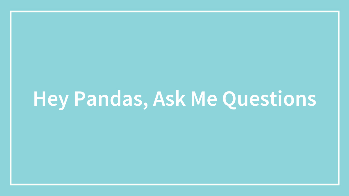 Hey Pandas, Ask Me Questions