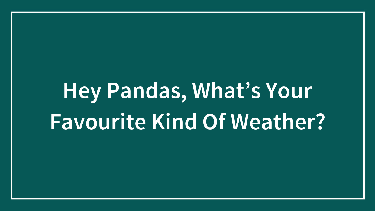 Hey Pandas, What’s Your Favourite Kind Of Weather?