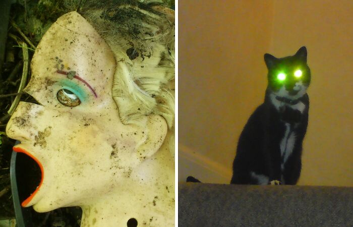 Disconcerting Images (6 Pics)