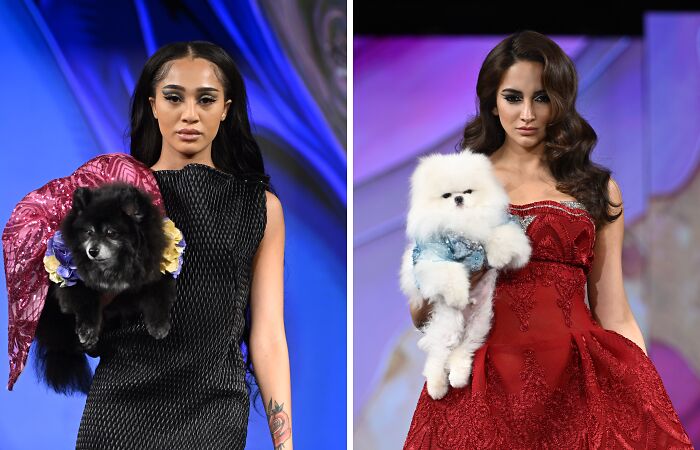 Pets Rule The Catwalk At New York Fashion Week (23 Pics)
