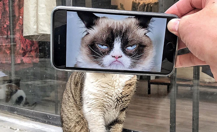 I Combine Ordinary Objects With Pics On My Phone To Make Them Look Extraordinary (16 New Pics)