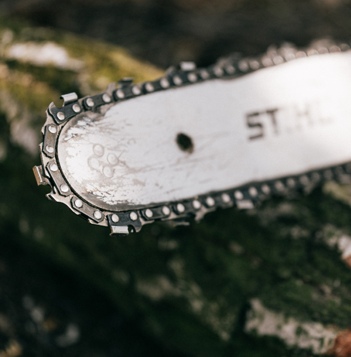 Chainsaw blade close-up resting on mossy wood, evoking scary facts that will give you the heebie-jeebies atmosphere.