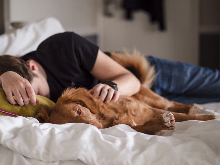Man in black shirt lying on bed with brown dog