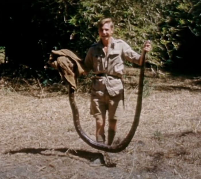 Nature Documentary Fans Are Excited To Hear 97 Y.O. David Attenborough Is Making A Return On BBC Nature Documentary Fans Are Excited To Hear 97 Y.O. David Attenborough Is Making A Return On BBC