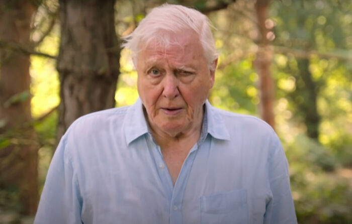 Nature Documentary Fans Are Excited To Hear 97 Y.O. David Attenborough Is Making A Return On BBC