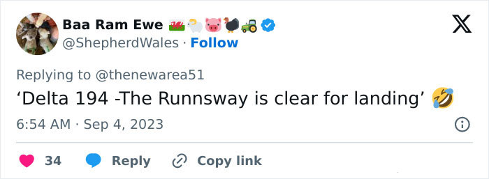 US Flight Is Forced To Ground After A Biohazard Level Of Diarrhea “Through The Plane” US Flight Is Forced To Ground After A Biohazard Level Of Diarrhea “Through The Plane”