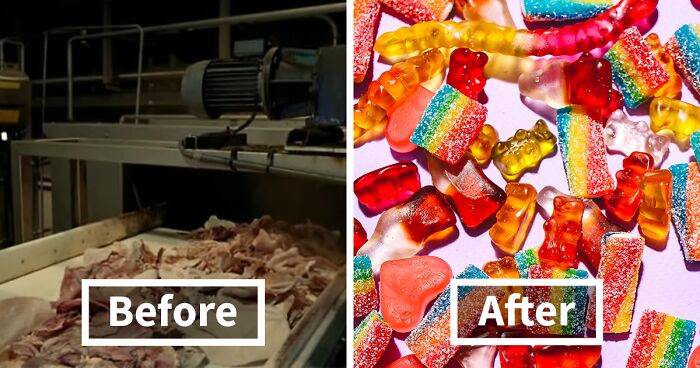 Disturbing Behind-The-Scenes Secrets About 9 Of The Most Popular Meals In The World