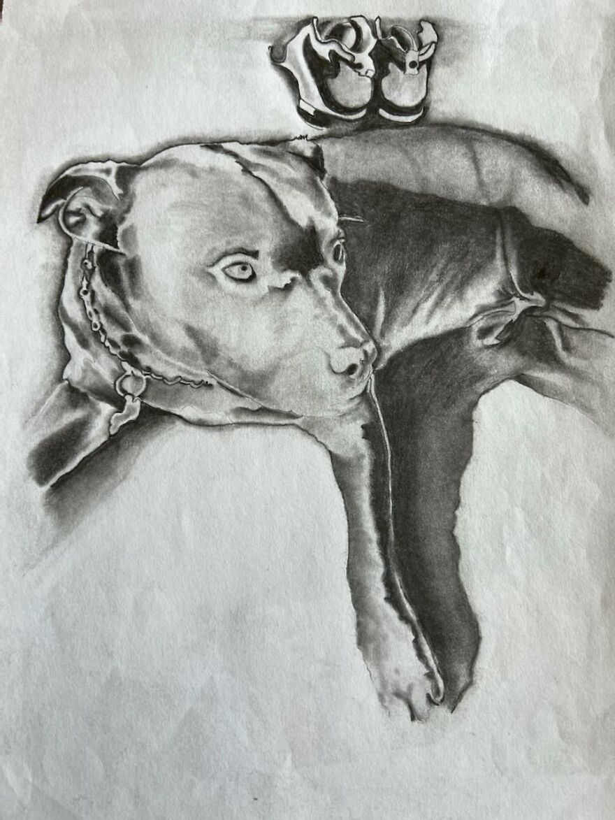 A Pencil Drawing Of A Dog.