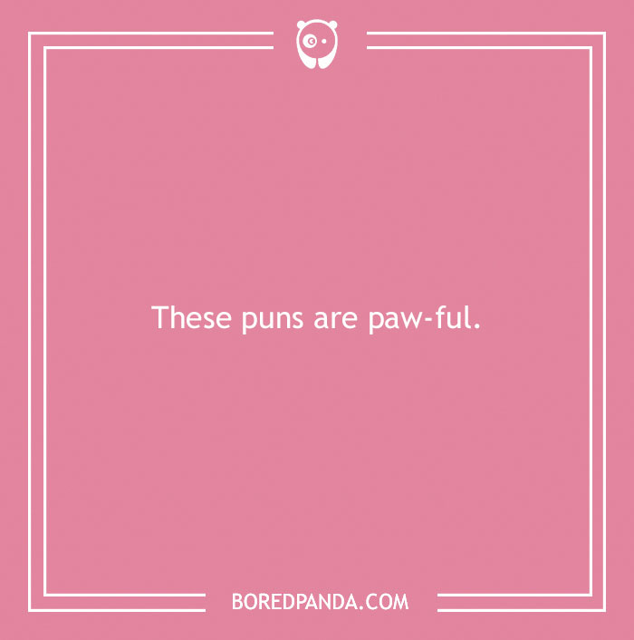 197 Funny Dog Puns to Honor the Pup-arazzi Worthy Furballs