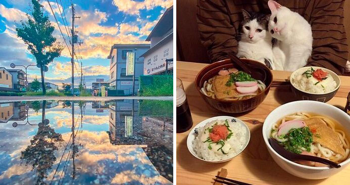 26 Cool Posts About All Things Japan That Prove It’s A Country Like No Other