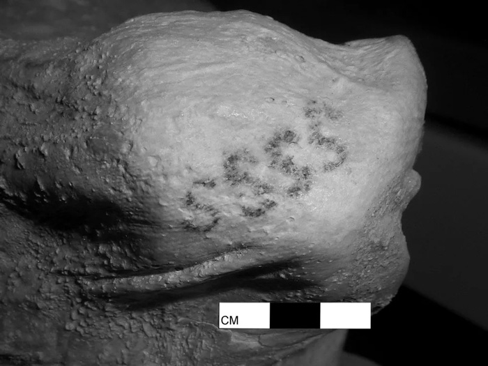 Tattoos on the Pre-dynastic female mummy from Gebelein