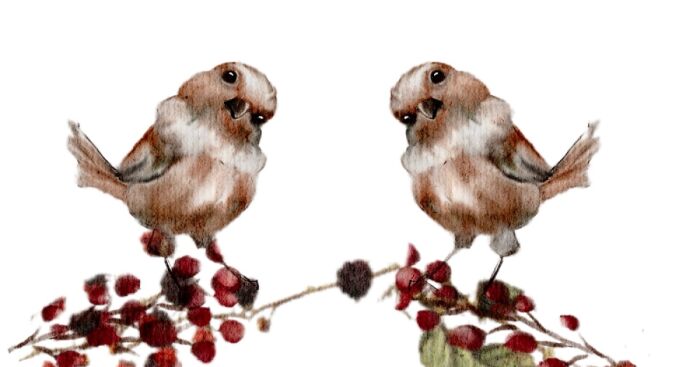 The Goblincore Watercolor Paintings That I Made For The New Rpg (5 Pics)