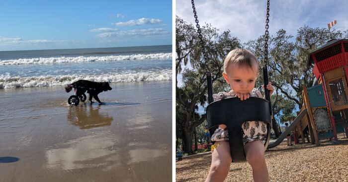 Hey Pandas, What Is Your Favorite Photo On Your Device? (Closed)