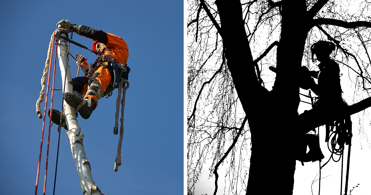 Rope Access Is My Daily Job, I Often Take A Camera With Me To Work, Here’s What I Captured (21