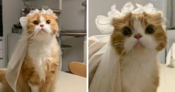 Funny Daily Memes For You (24 Pics)