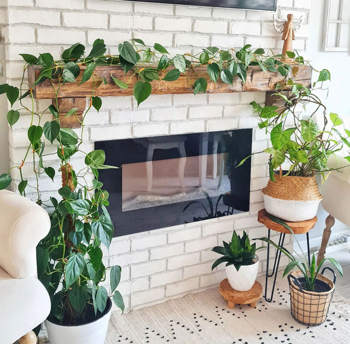 White brick fireplace with wooden mantel adorned with lush vine plants creating a cozy and natural fireplace mantel idea. White brick fireplace with wooden mantel adorned with lush vine plants creating a cozy and natural fireplace mantel idea.