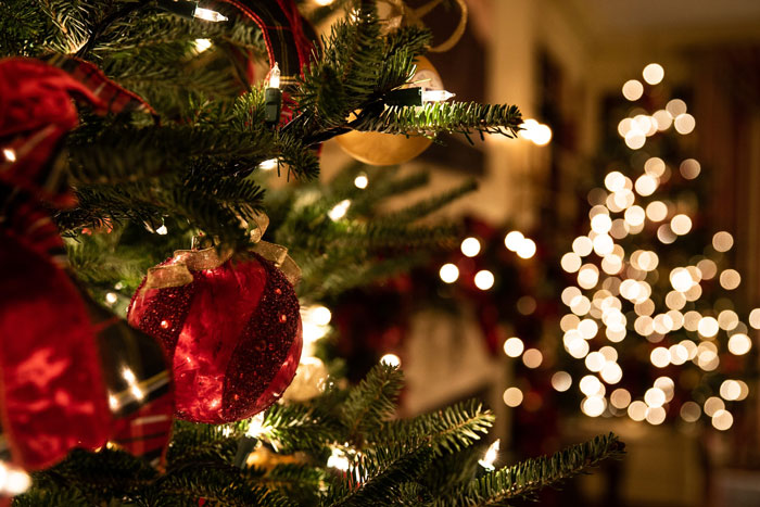 Decorated Christmas tree 