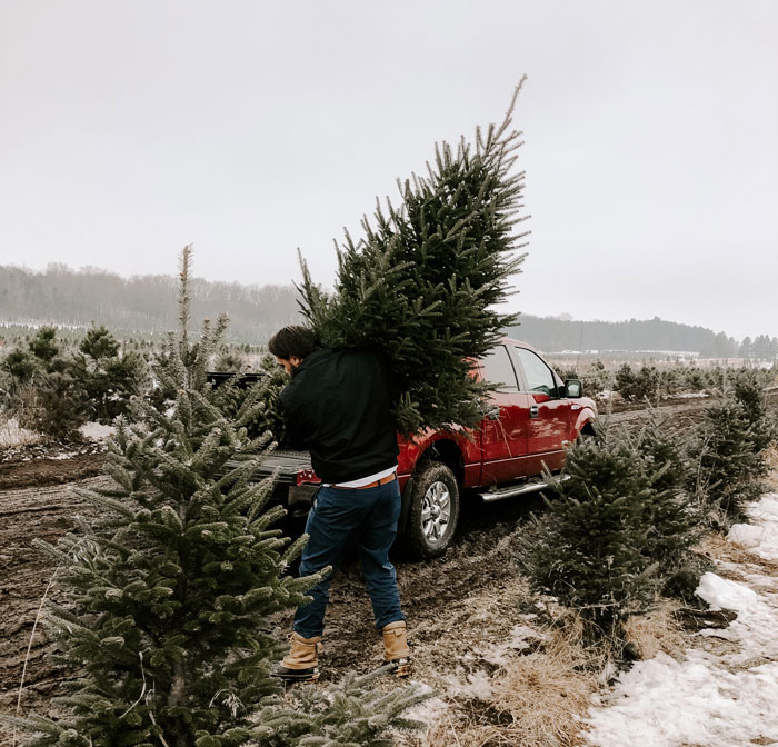 Man carrying Christmas tree 