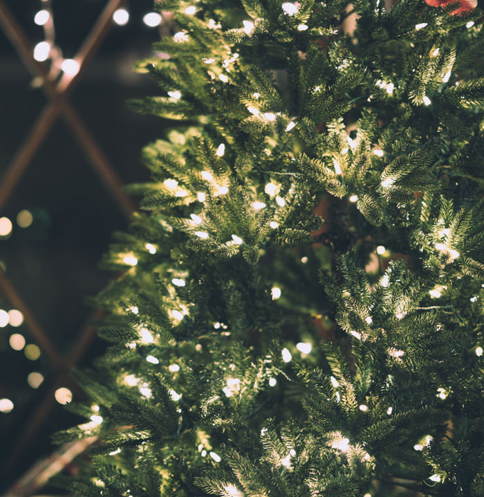 Christmas tree with string lights 