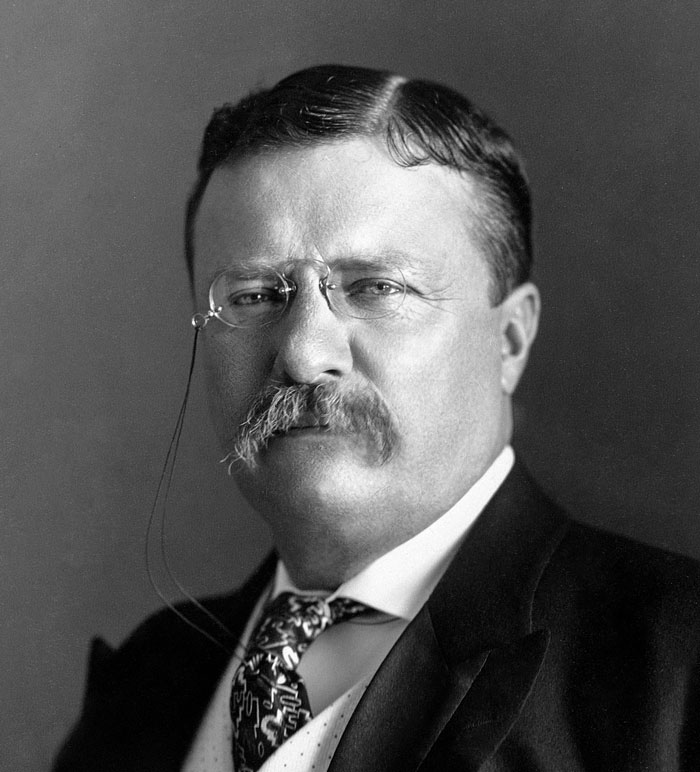 Theodore Roosevelt wearing glasses 