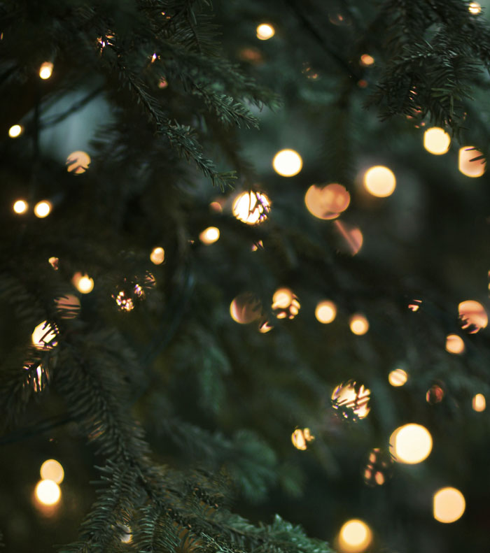 Christmas tree with strings of light 