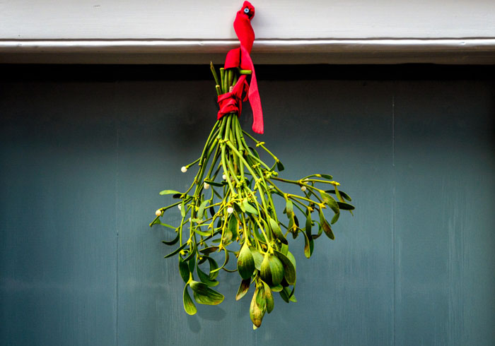 Christmas mistletoe with red ribbon hanging near the door 