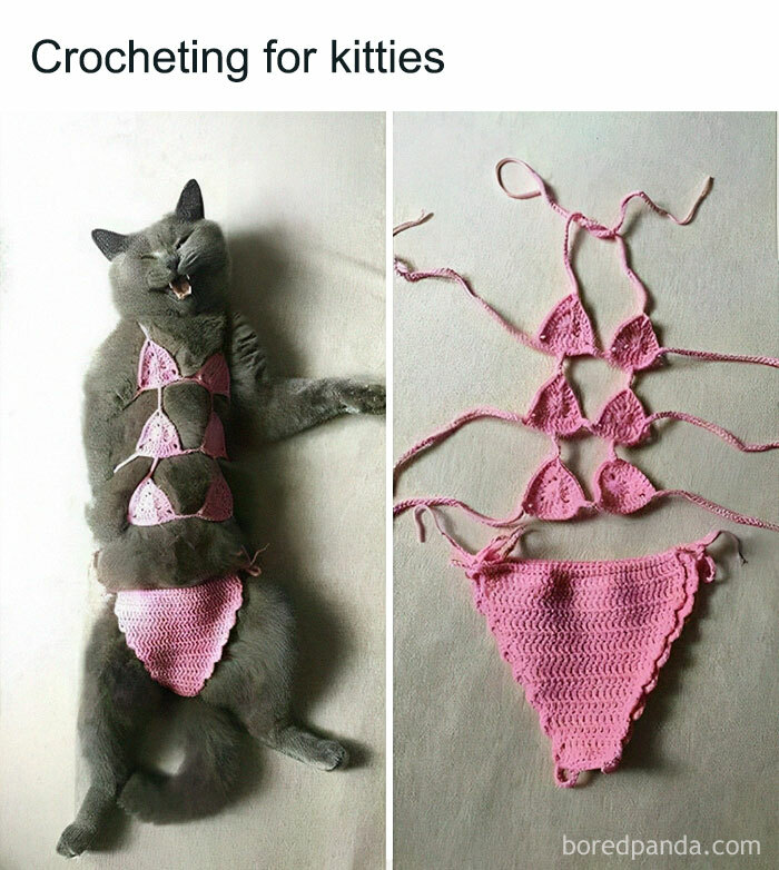 50 Perfectly Accurate Pics And Memes That Capture What It s Like Living 