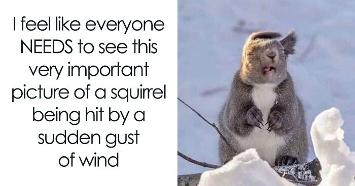 50 Hilariously Relatable Memes From ‘Cheerful Nihilism’