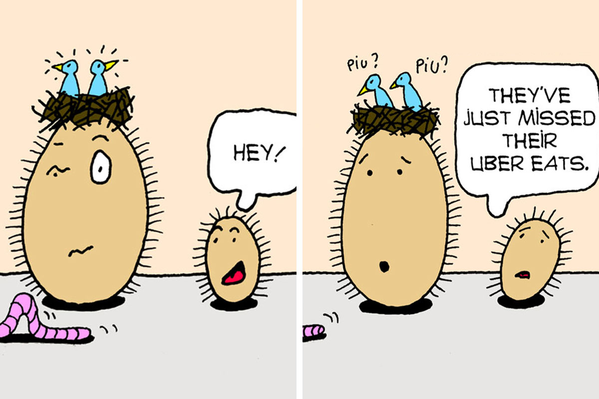 Inspired By Quirky Life Events, I Created The “2 Hairy Potatoes” Comic