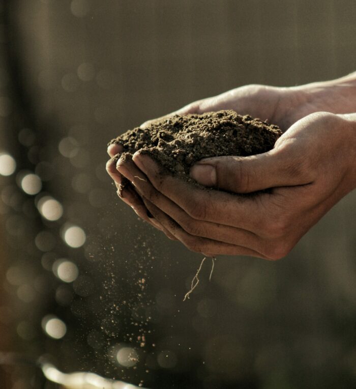 Person holding dirt in hands