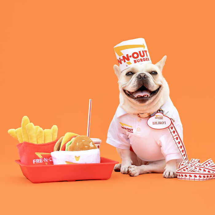 In N Out Pup