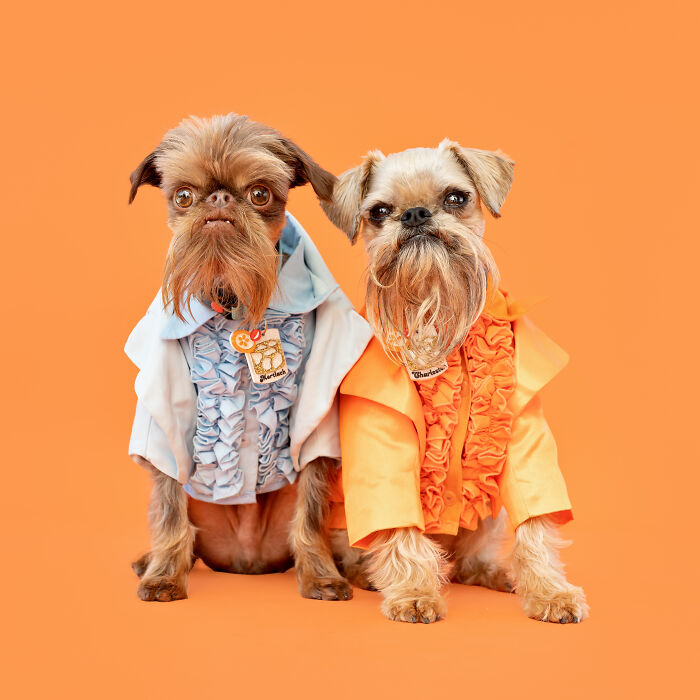 Lloyd And Harry From Dumb And Dumber