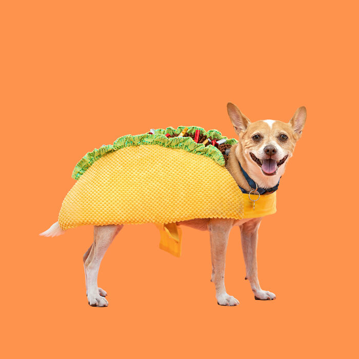 Taco