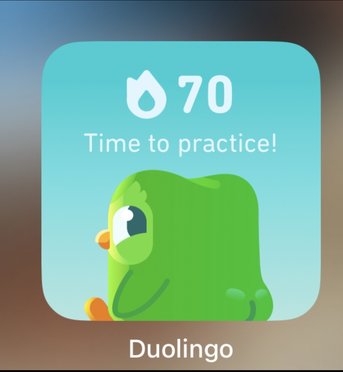 Hey Pandas, Show Us Something Weird Or Funny In Duolingo