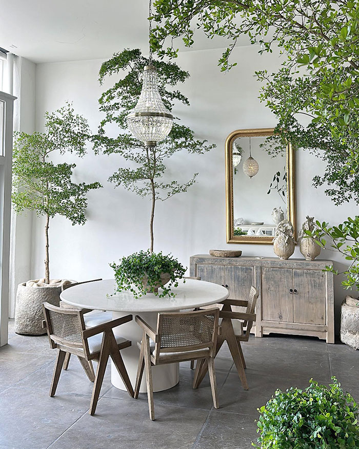 Indoor greenery with rustic furniture 