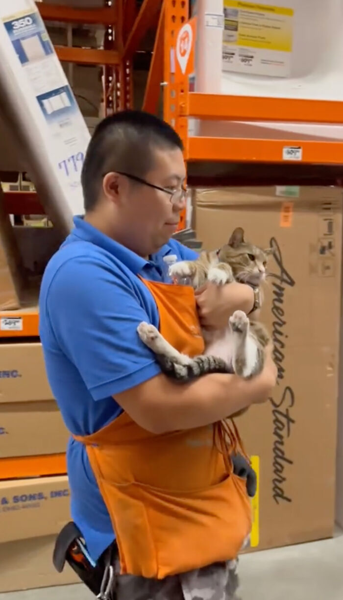 People Can’t Get Enough Of This Adorable Cat Living And Working At Home Depot People Can’t Get Enough Of This Adorable Cat Living And Working At Home Depot
