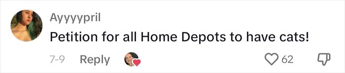 People Can’t Get Enough Of This Adorable Cat Living And Working At Home Depot People Can’t Get Enough Of This Adorable Cat Living And Working At Home Depot