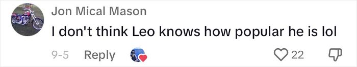 People Can’t Get Enough Of This Adorable Cat Living And Working At Home Depot People Can’t Get Enough Of This Adorable Cat Living And Working At Home Depot