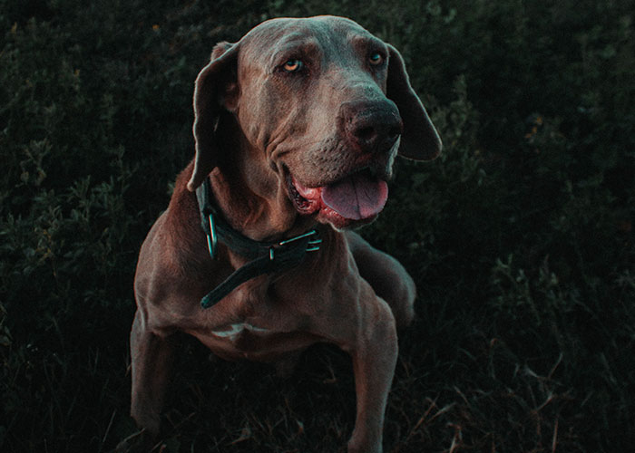 “Brought Up In A Cult”: 35 Things People Went Through As Kids And Didn’t Realize Were Unusual