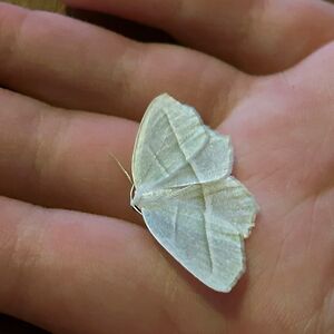 jencummings_1 avatar