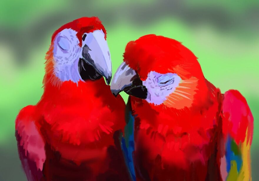 An illustration of two red parrots
