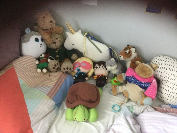 They Guys In My Bed. A Lot Of Them. 12 To Be Precise