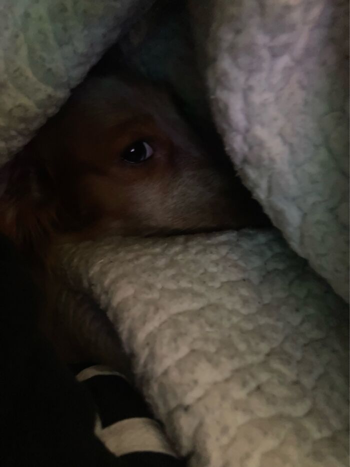 Lakoda Trying To Sleep But Getting Bothered With Love!